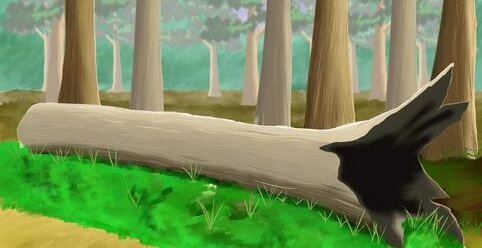 【怖すぎ】キャンプ場で倒木発生！テントで寝ている男女が下敷きに･･･