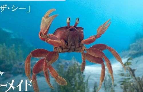 【6/9公開】実写映画『リトル・マーメイド』、セバスチャン役：木村昴さんが歌う「アンダー・ザ・シー」MVが解禁！！