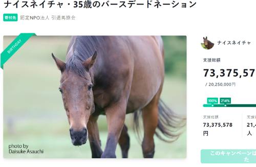 「ナイスネイチャ」をシンボルとする引退馬支援の寄付金は約7400万円！過去最高を更新