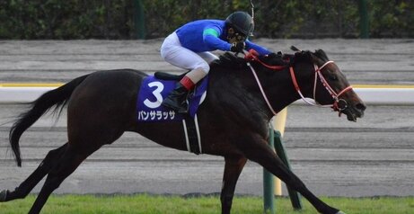 【競馬】パンサラッサの引退が正式決定！アロースタッドで種牡馬になる予定