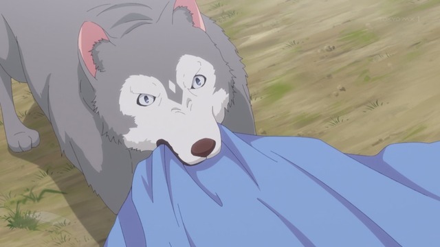 Capture_20231210-003758