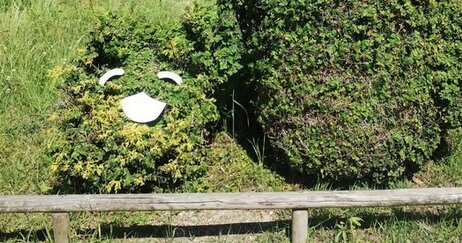 モリゾーとキッコロが愛・地球博から19年で野生にかえっていると話題に