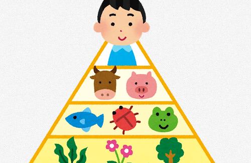 ひろゆき「コオロギ食は外殻ごと食べるので、プリン体が多く尿酸値が高い人は非推奨」