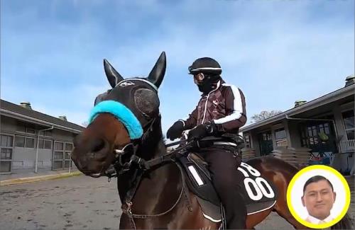 【競馬】NHK総合「100カメ」が『栗東トレセン』に潜入！皐月賞の舞台裏も公開