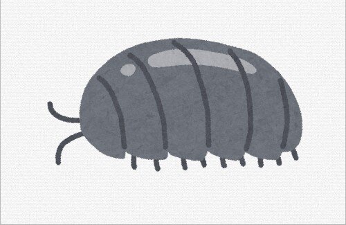 「ダンゴムシって、動き遅いから許されてる節あるよな」←共感4万いいね