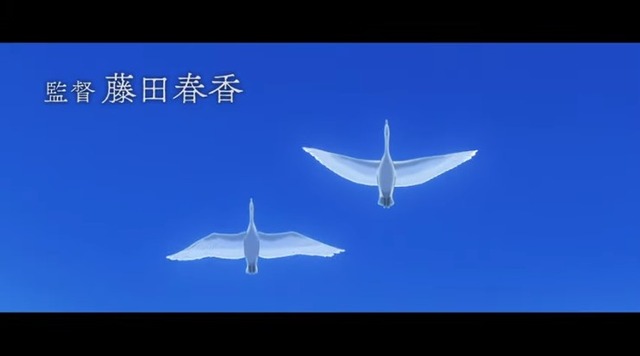 2019y08m13d_163804731