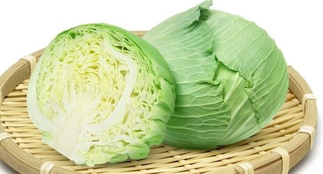 【悲報】キャベツ1玉の値段が1000円を超えてしまう…農水省「当面は今の状況が続く」
