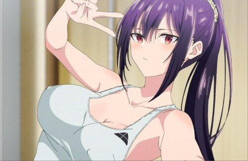 【悲しい】アニメの円盤全然売れないな・・・