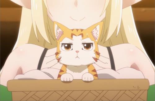 アニメ『べヒ猫』、「湯けむりスッキリ版」の放送が決定！そういう作品だったかー