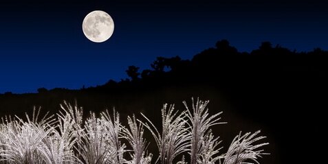 【満月】今夜は『中秋の名月』でよく見えるぞ！次回満月の日付が一致するのは7年後