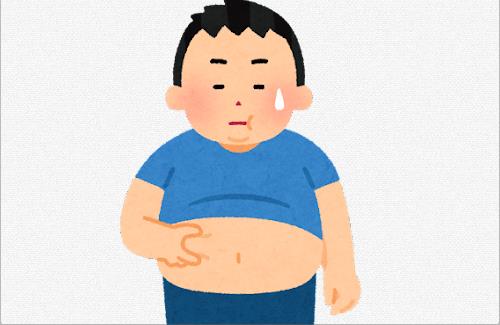 【朗報】中年太りの仕組みや改善方法が解明されるｗｗｗｗｗｗｗｗ