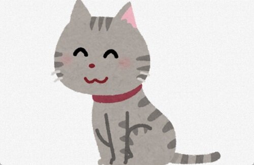 【画像】声優・石見舞菜香さんの飼い猫がかわいすぎる！！！！