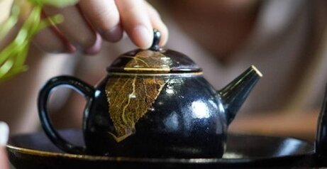 お茶を1日3杯飲むと老化が遅れるらしいぞ！「生理活性物質が入っている」