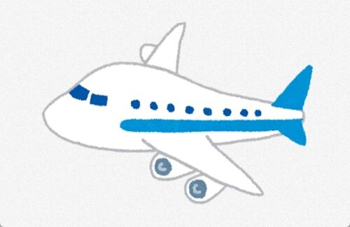X民「LCCに初めて乗ったら民度良くて驚いた。航空会社の客の800倍いい」