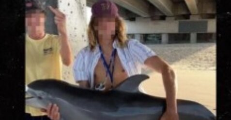 SNSで欲求を満たすために浅瀬で捕まえられたイルカの赤ちゃんが息絶えてしまう…男性のその後の対応も糞過ぎる