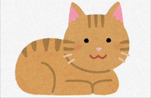 【動画】猫にカメラをつけて撮影した結果・・・