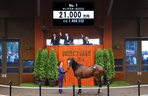 【セレクトセール】「ウマ娘」藤田晋氏がキズナ産駒を2億1000万円で落札