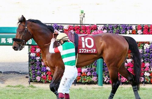 21年・年度代表馬『エフフォーリア』、引退を発表！！！
