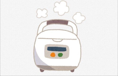 【悲報】東大卒女子、釜が入ってない「炊飯器」にコメと水をぶち込んでしまう・・・