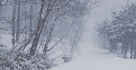 国交省「不要不急の外出控えて！」 関東・甲信地方で大雪恐れ、東京23区でも積もるかもしれないぞ