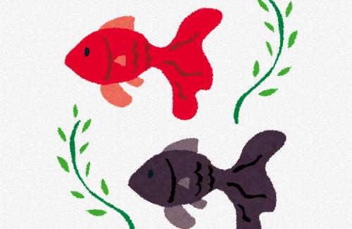 【悲報】YouTuberさん『ペットの魚がクレカを使って勝手に課金した…』