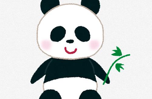 【画像】中国で全身真っ白なパンダが見つかる…