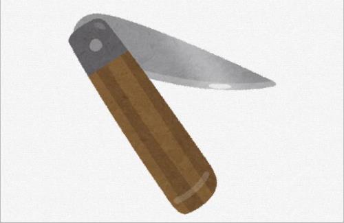 【怖い】授業中に中学2年の男子生徒が、同じクラスの女子生徒に刃物で首を切りつけられる