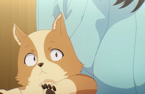 女性は男性や猫と一緒に寝るより犬と寝る方がより快適に睡眠できると研究で判明・・・