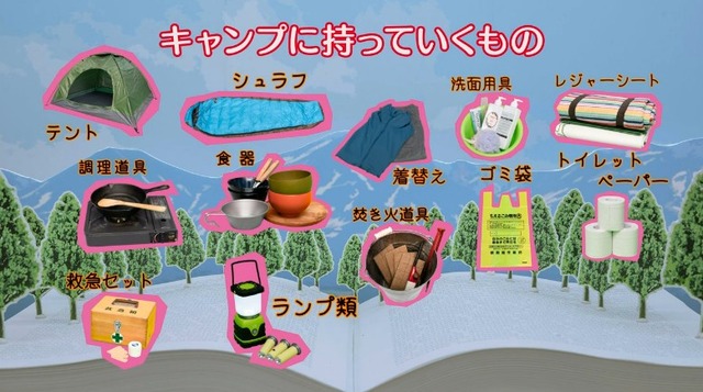 2020y01m31d_112358791