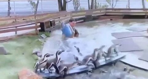 「スッキリ！」ペンギン池ロケを加藤浩次さんが謝罪「僕が春日君を追い込んだ」 スタジオ大爆笑だったような･･･