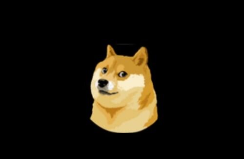 ツイッターロゴ、青い鳥から柴犬に突然変更に…イーロン・マスク氏「約束通り」