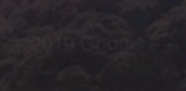 gggg