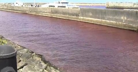 オリオンビール工場から色の付いた冷却水が流れ真っ赤に染まる、エヴァの世界感