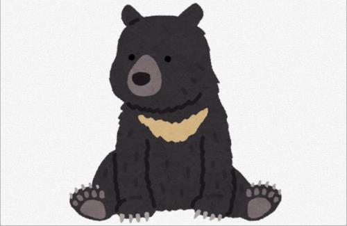 【画像】秋田県のツキノワグマがデカすぎる・・・これに遭遇したら終わるわ