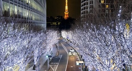 【クソ過ぎ】六本木「けやき坂イルミネーション」に映えのために迷惑な撮影が横行してしまう…