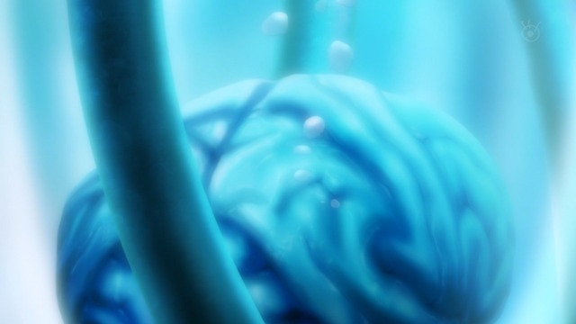 Capture20211223-014331