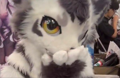 【動画】けものコスプレってエチチやな・・・