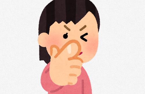 サロメ嬢、モデルガンを購入ｗｗｗｗ『いろんなことを想像しながら遊ぶと楽しいですわよ』