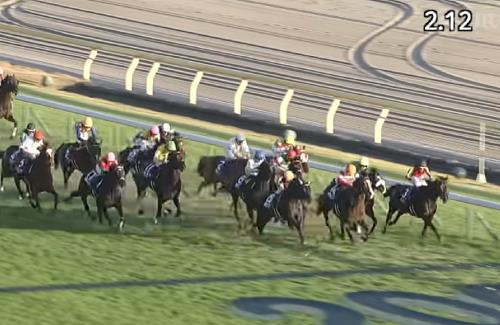 【競馬】G1・ジャパンカップ、1着はエイシンフラッシュ産駒のヴェラアズール！……『"外国人騎手騎乗の日本馬"が上位を独占。』