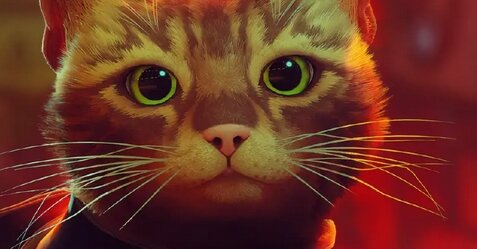 猫ゲー『Stray』PS4/PS5パッケージ版が発売決定！DXエディションにはサントラやジオラマスタンドが付くぞおおおおお