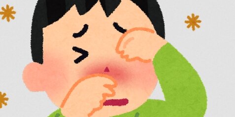 政府が“花粉症対策”を集中的に取り組む姿勢、スギの人工林の伐採や植え替えなどを重点的に実施