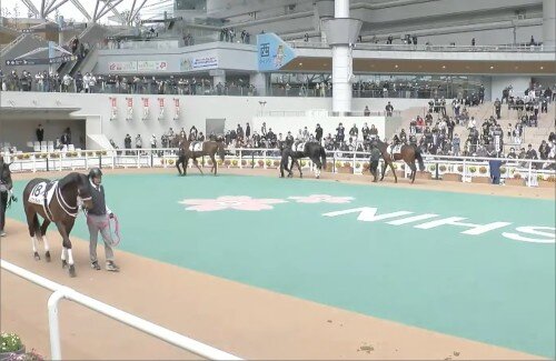 【朗報】グリーンチャンネルのYouTubeライブ配信、無料でパドックも流してくれるなんて神だな