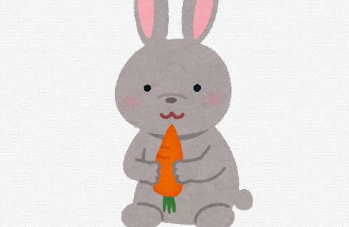 研究チーム『人参好きなウサギはそう多くない』