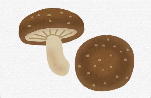 【画像】農林水産省『食べられるきのこは１つだけ。どれでしょう。』　これはむずい…