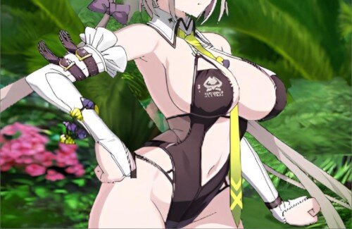 【FGO】水着「呼延灼」のバトルグラフィックがあまりにもドスケベすぎるｗｗｗｗｗｗｗｗｗｗｗ