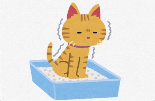 【動画】猫用の自動トイレなんてあるのか…購入者『買って1年になるけど、人間はラクできるし猫は常に清潔で良い』