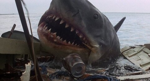 スピルバーグ監督が『ジョーズ』の影響でサメが減少した事に言及「本当に悔やんでいる」
