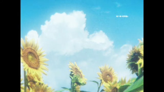 videoframe_12226