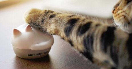 【欲しい】猫のASMRが聴ける『ワイヤレスイヤホン』が発売決定！デザインも可愛すぎる