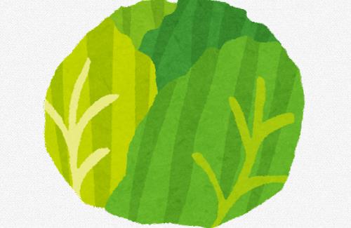 【画像】ブループロトコルさん、キャベツのモデリングに本気を出す